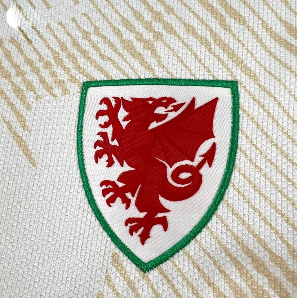 2026 Wales Away World Cup