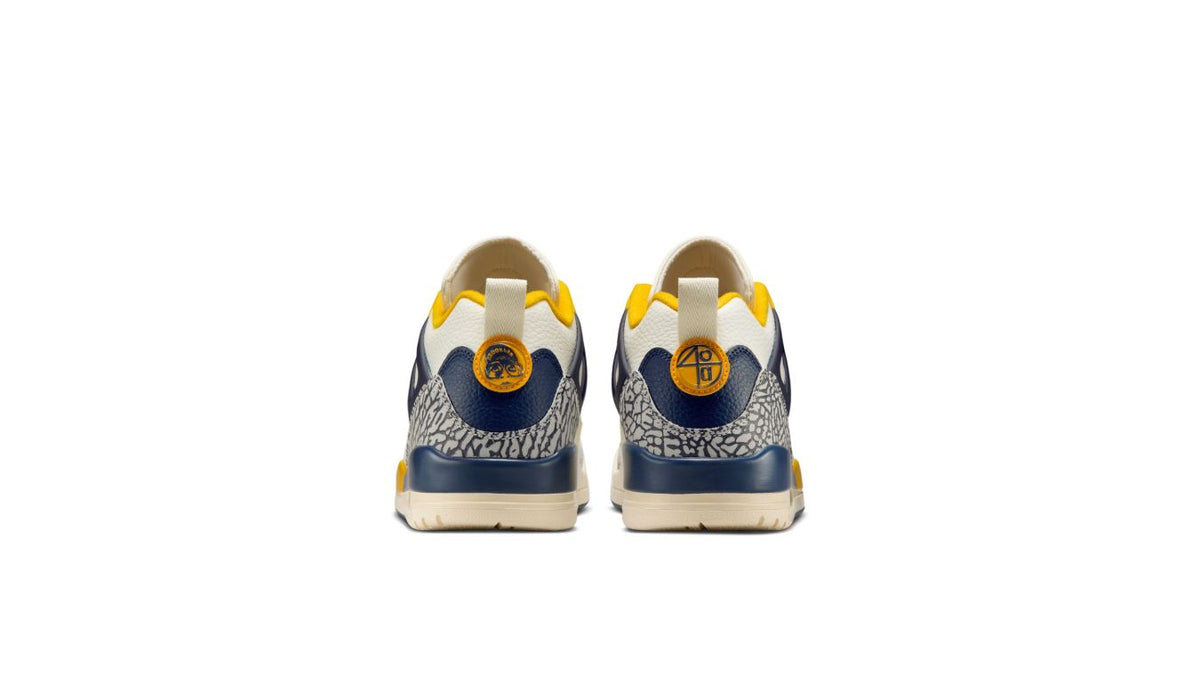 Air Jordan Spizike Low "Michigan"