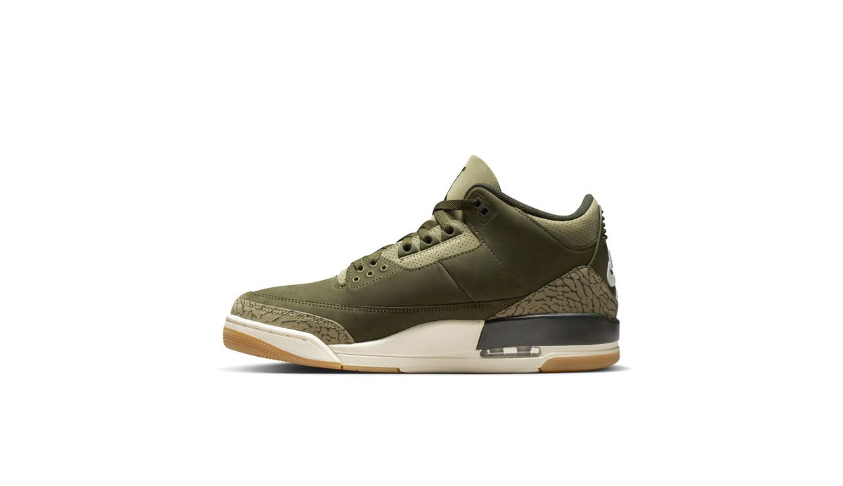 Air Jordan 3 Retro "Family Affair"