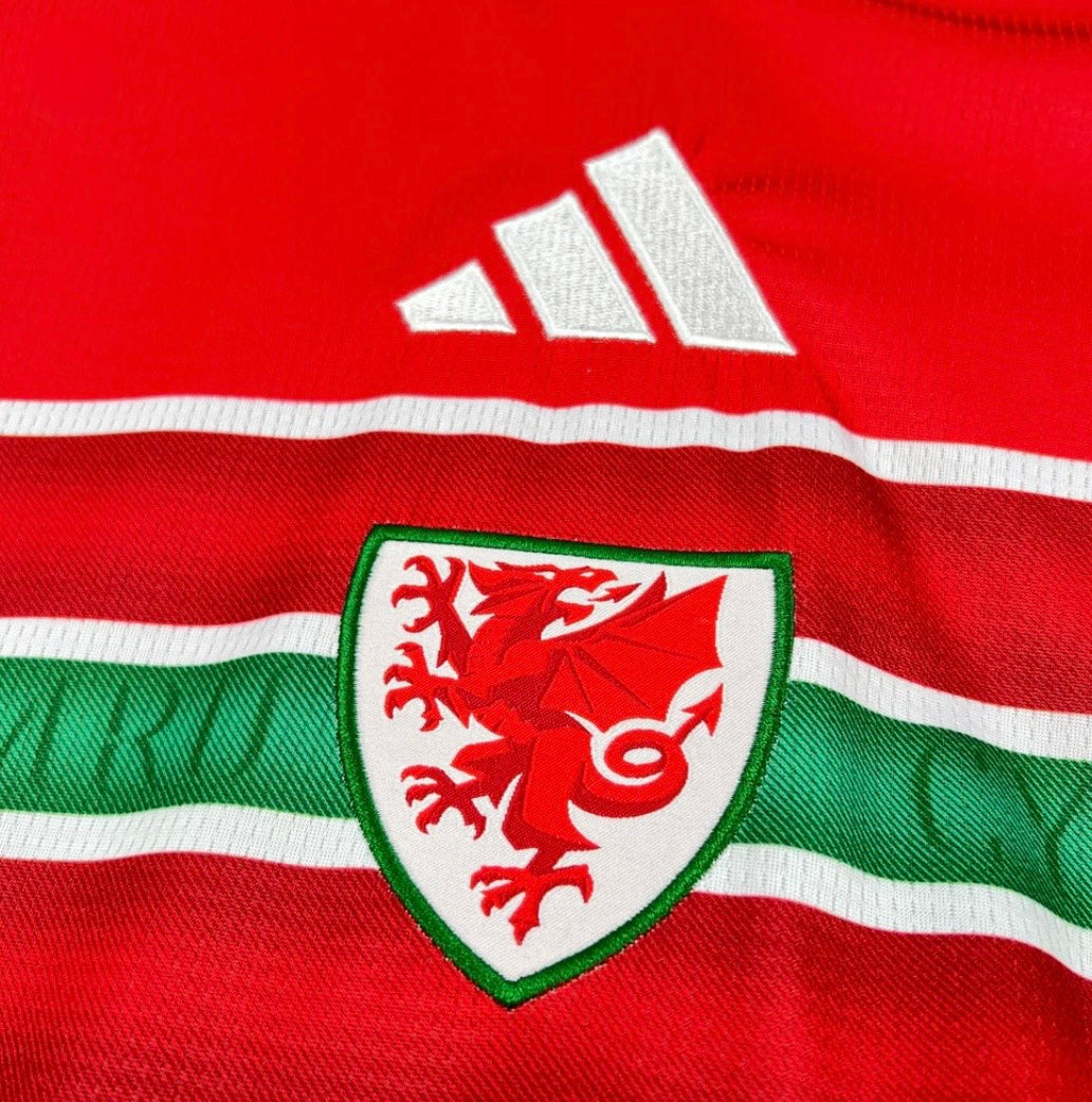 2026 Wales Home World Cup
