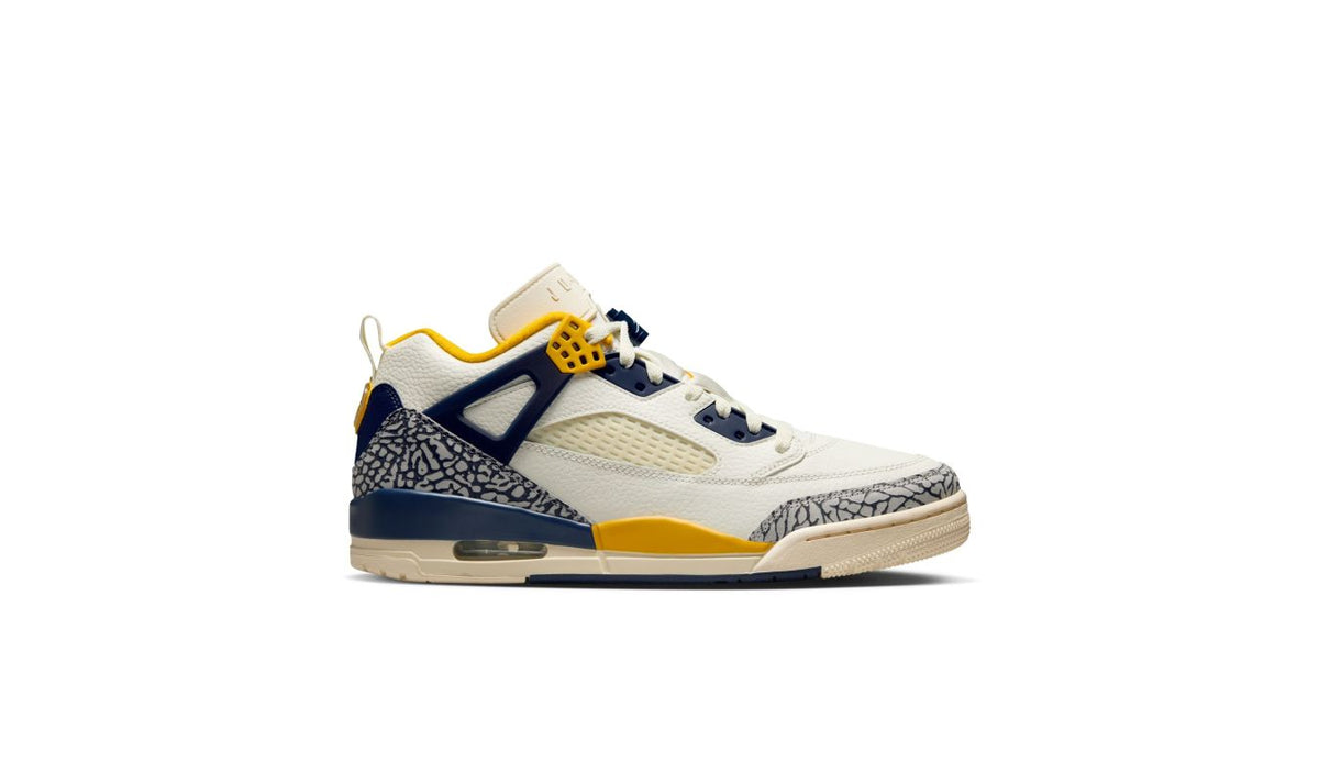 Air Jordan Spizike Low "Michigan"