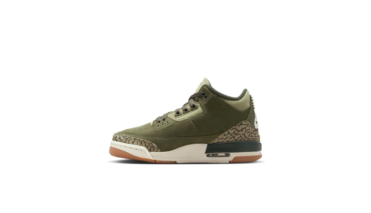 Air Jordan 3 Retro "Family Affair" (GS)