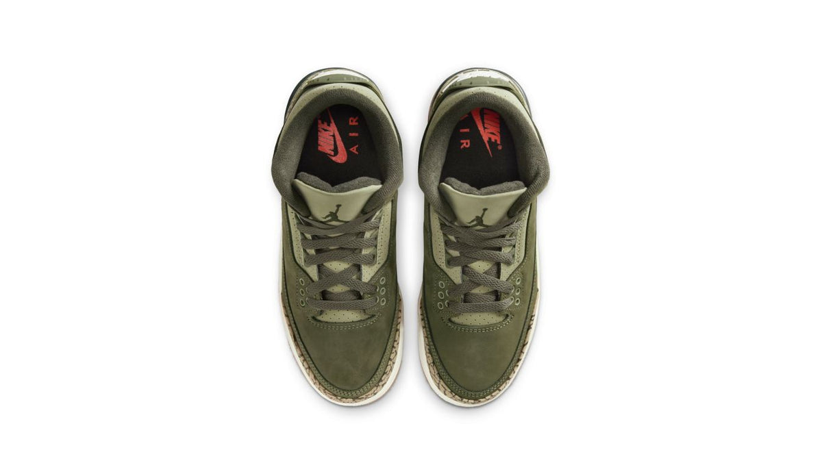 Air Jordan 3 Retro "Family Affair" (GS)