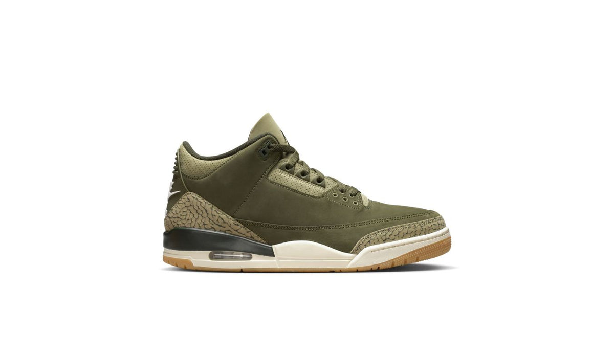 Air Jordan 3 Retro "Family Affair"