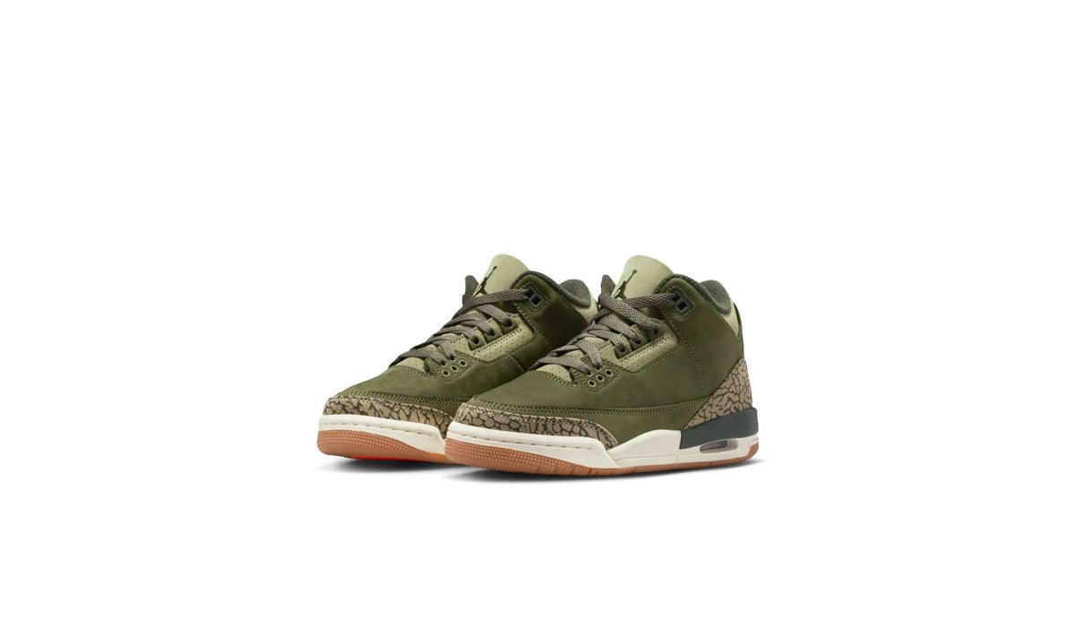 Air Jordan 3 Retro "Family Affair" (GS)