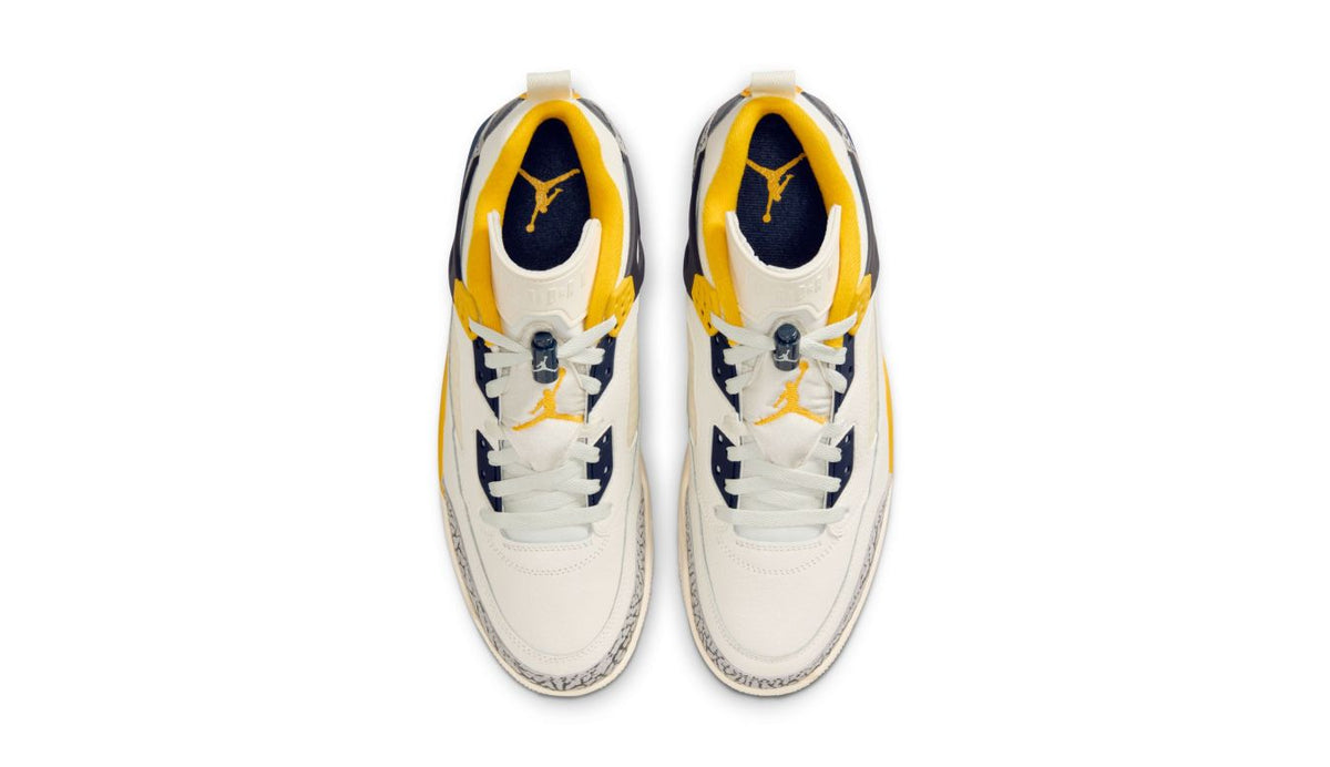 Air Jordan Spizike Low "Michigan"