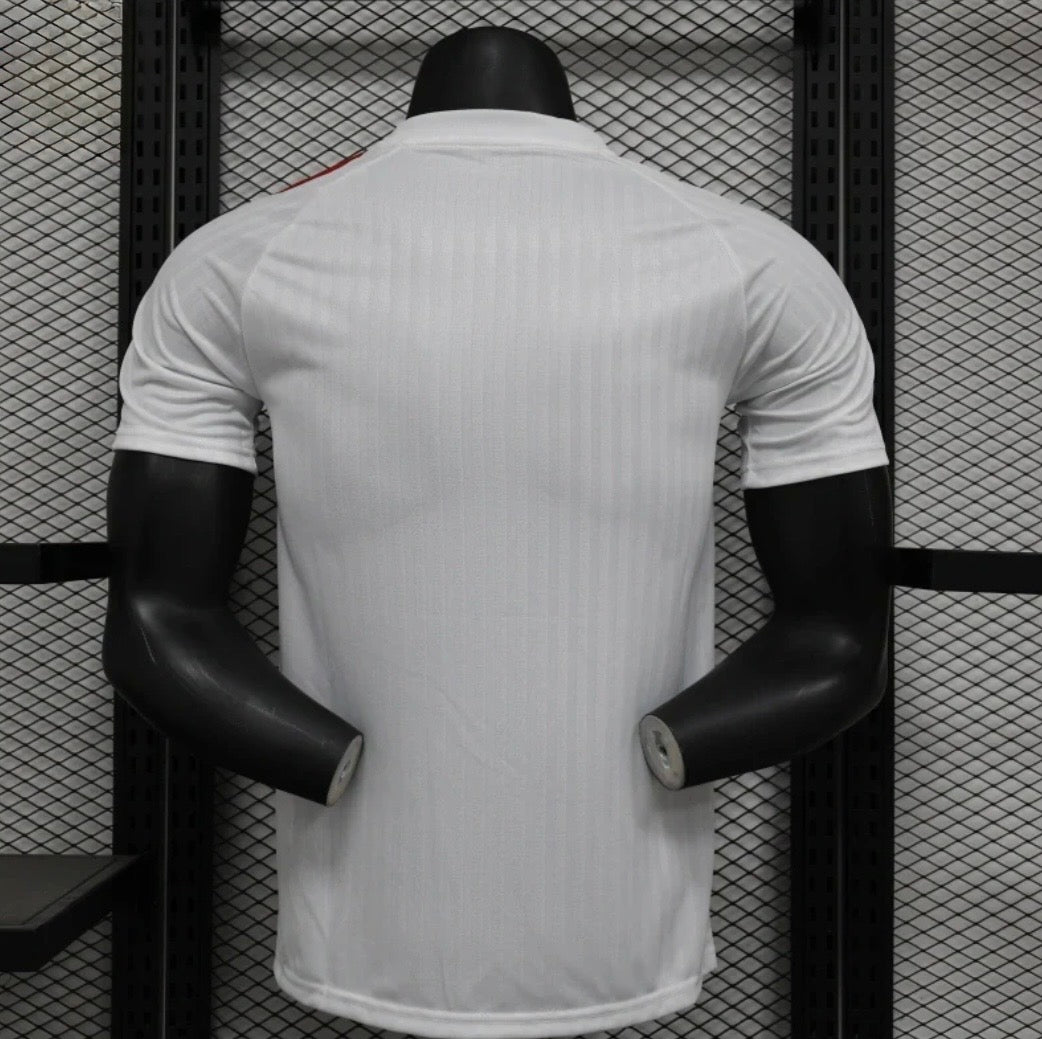 2025/2026 Manchester United Away Kit