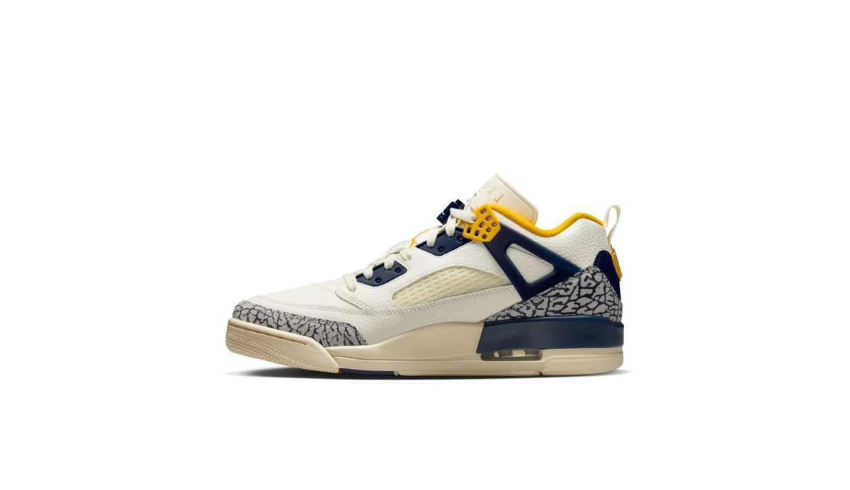 Air Jordan Spizike Low "Michigan"