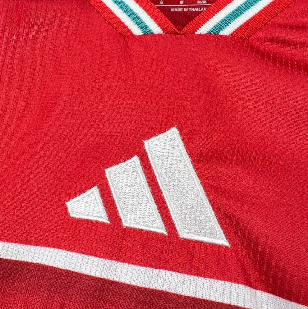 2026 Wales Home World Cup