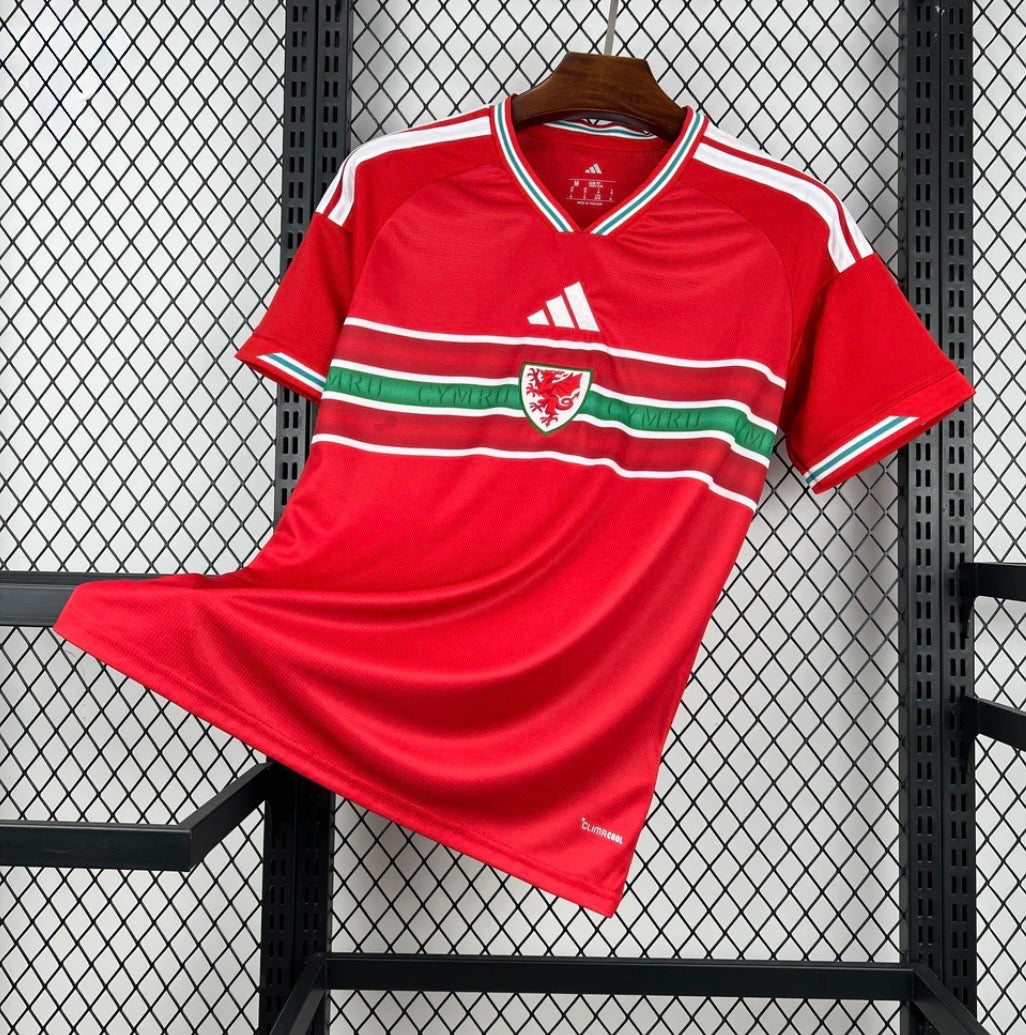 2026 Wales Home World Cup