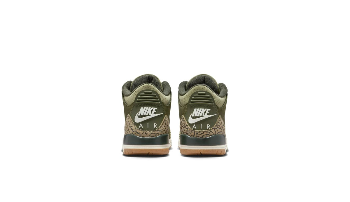 Air Jordan 3 Retro "Family Affair" (GS)