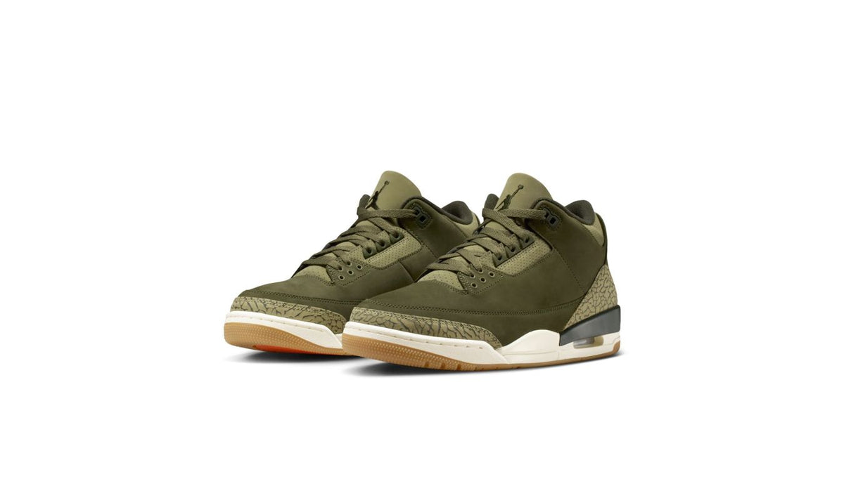 Air Jordan 3 Retro "Family Affair"