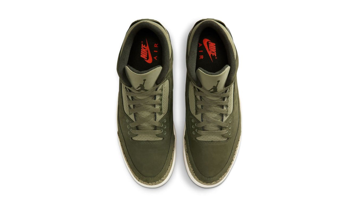 Air Jordan 3 Retro "Family Affair"