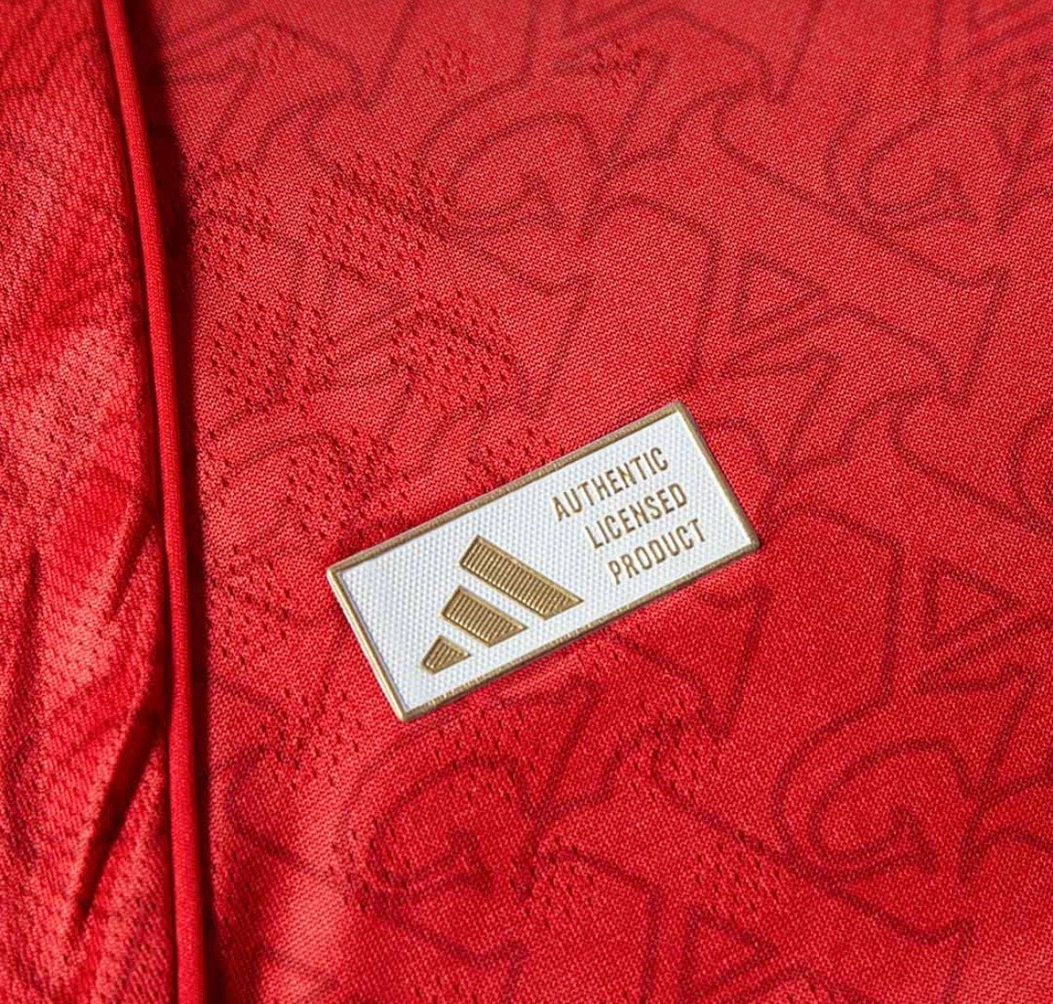 Arsenal FC Home Jersey 2025/26