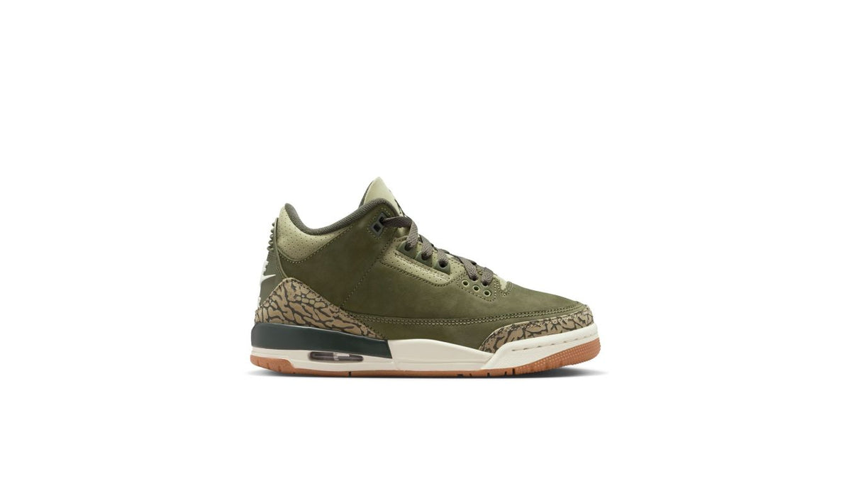 Air Jordan 3 Retro "Family Affair" (GS)
