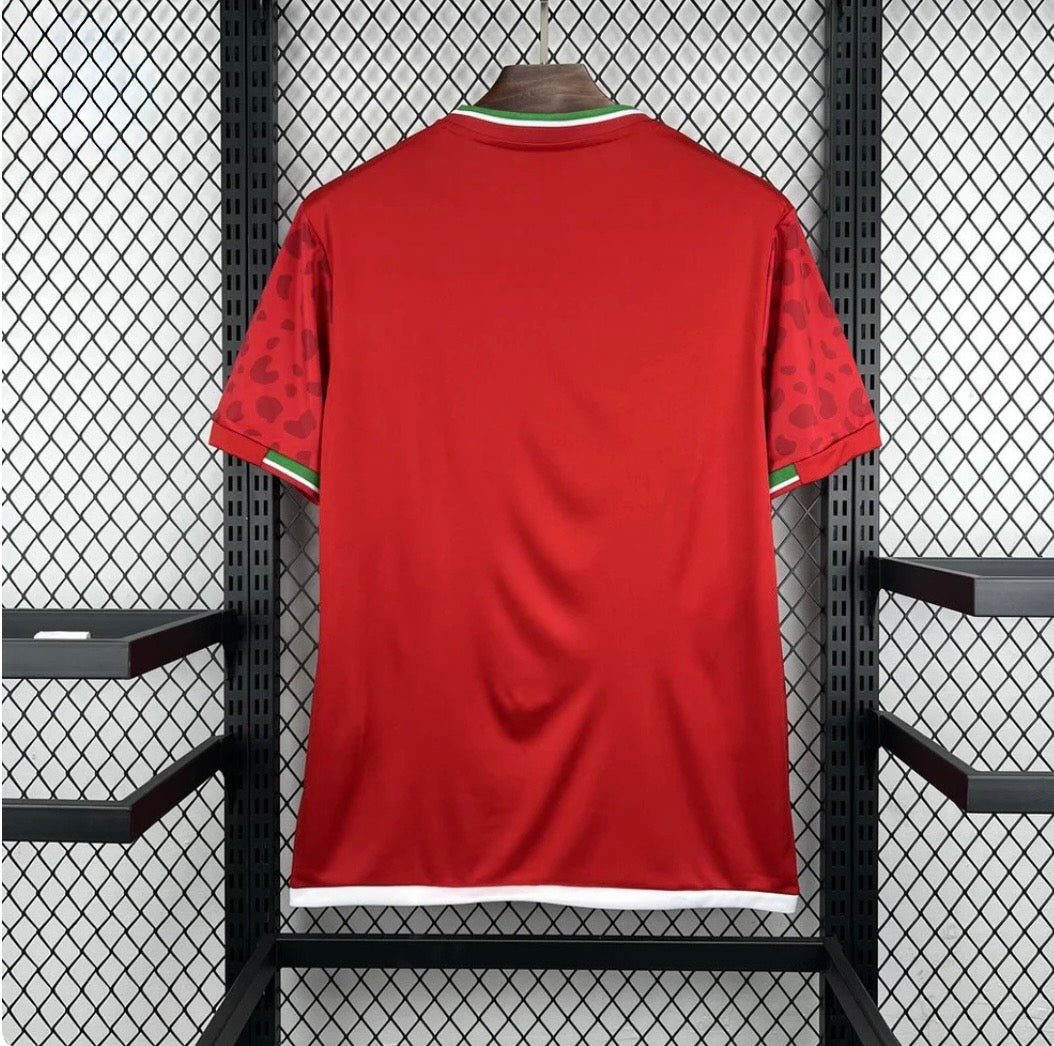 2026 Iran Away World Cup