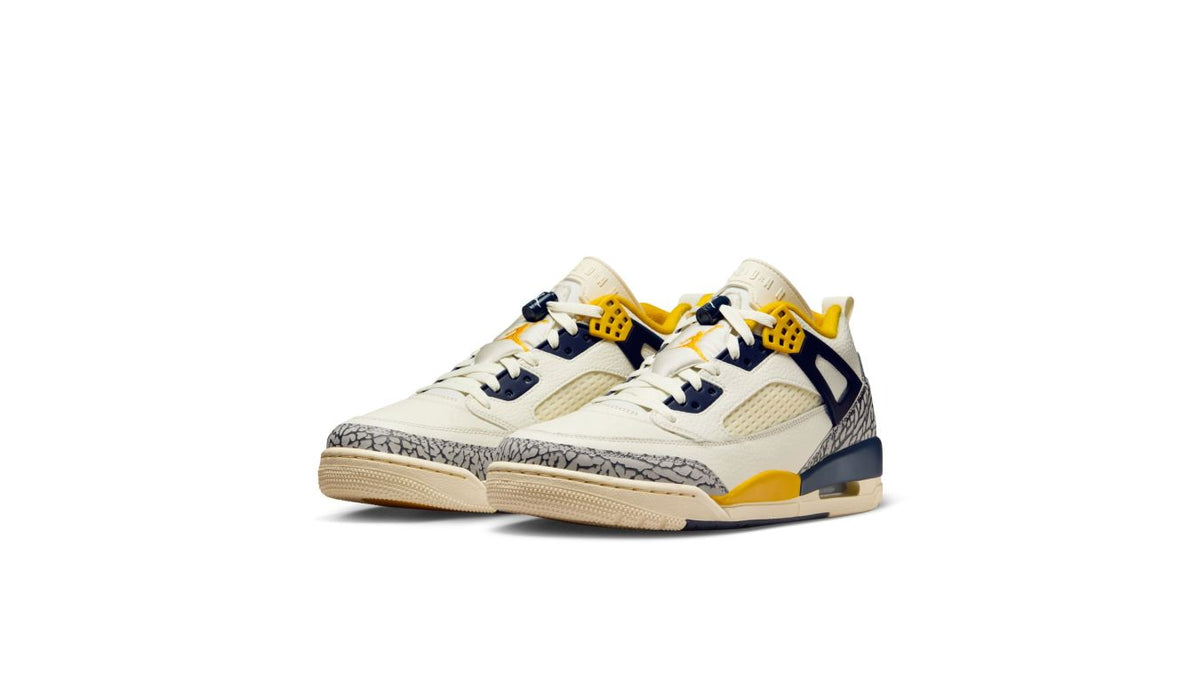 Air Jordan Spizike Low "Michigan"