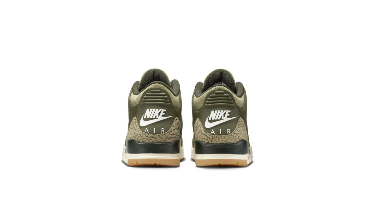 Air Jordan 3 Retro "Family Affair"