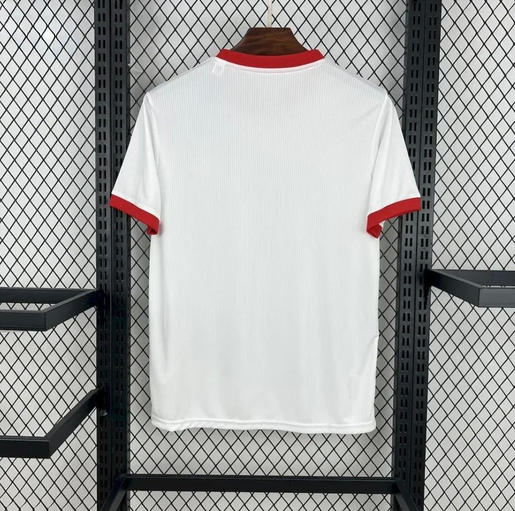 2025/2026 Benfica Anniversary Jersey