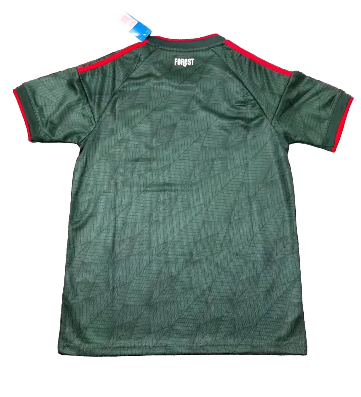 26-27 Nottingham Forest Away